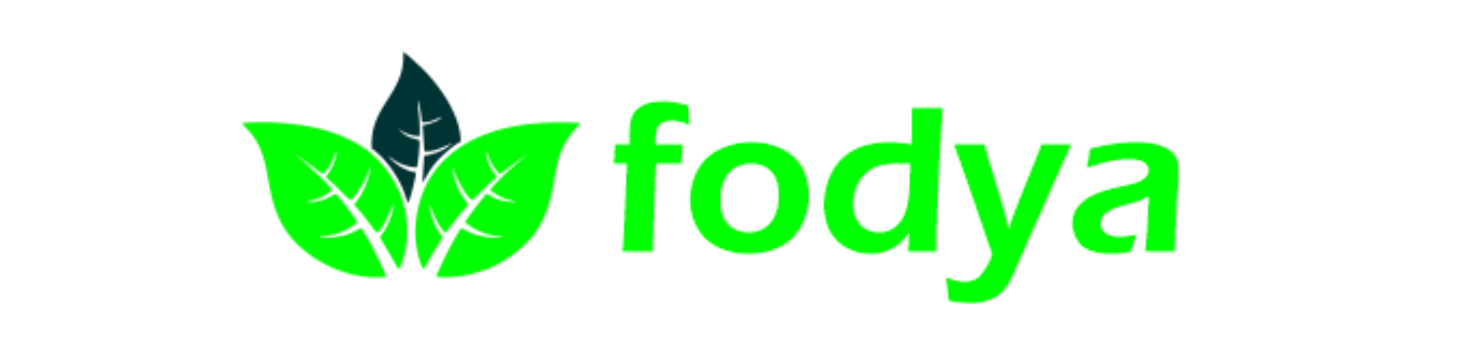 logo-4